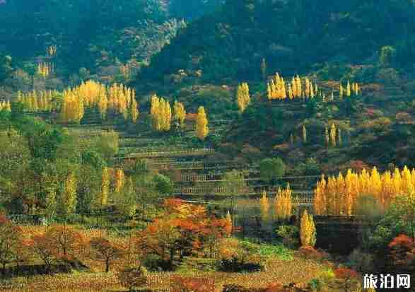 9月河南旅游攻略