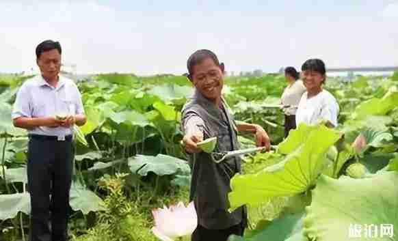 安徽最美乡村名单