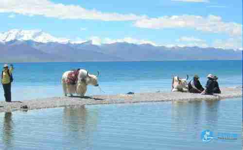 纳木错住哪 纳木错旅游住宿攻略2018