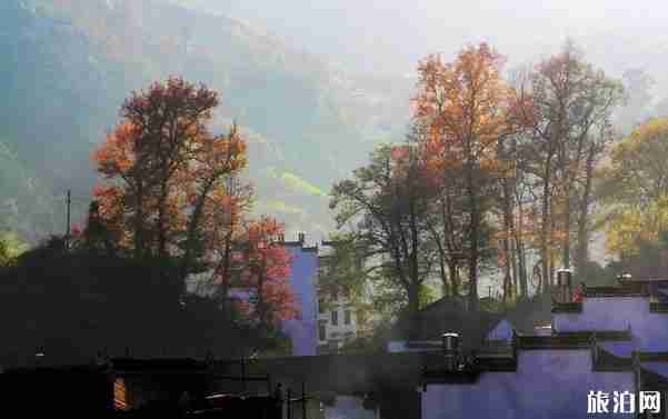 婺源賞秋什么時候最美 婺源賞秋攻略