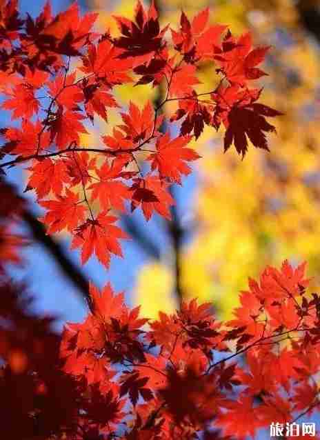 9月東北旅游攻略2018