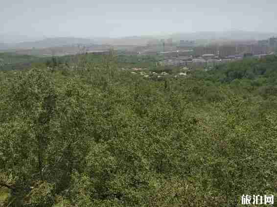 烏魯木齊有什么適合看日出的地方