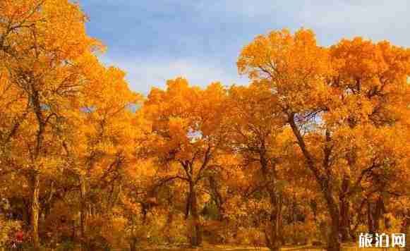 內蒙古景區優惠政策2018