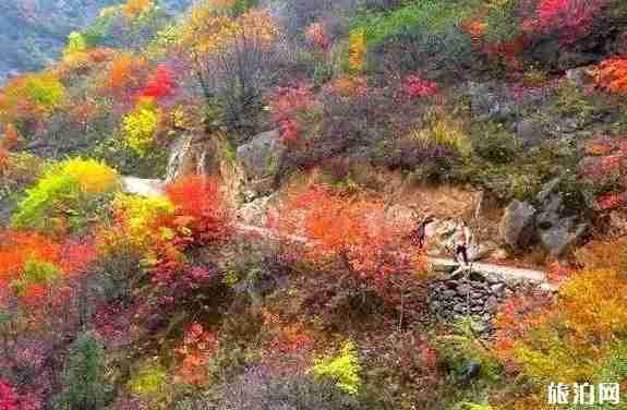 秦嶺公路自駕游線路推薦