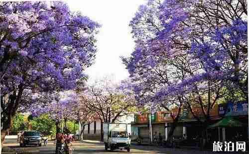 四川瀘沽湖與云南瀘沽湖有什么區別