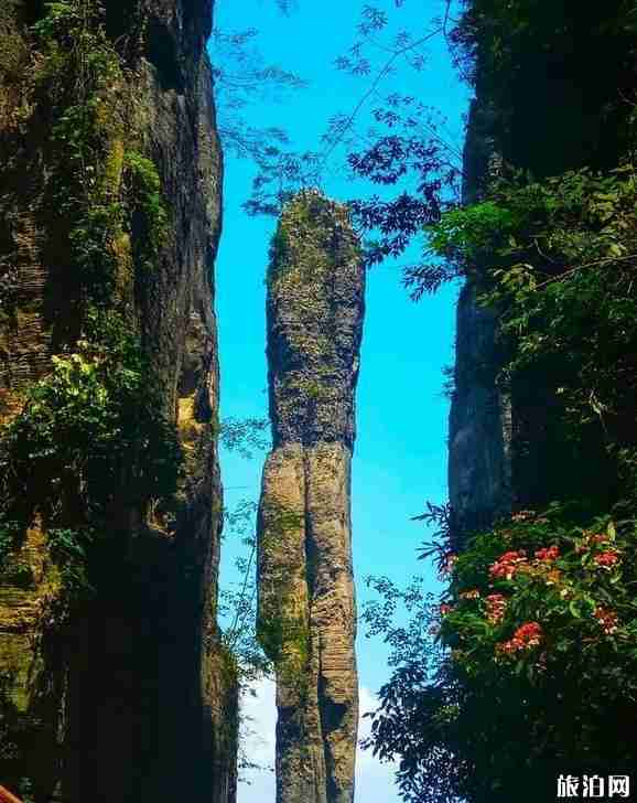 恩施大峽谷適合老人去嗎