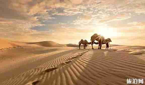 內蒙古秋天最美的地方推薦