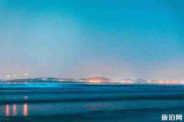 福建藍眼淚在哪里看