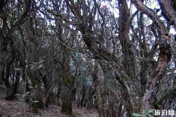 國家級旅游度假區和5A級景區是一個意思嗎 有什么區別