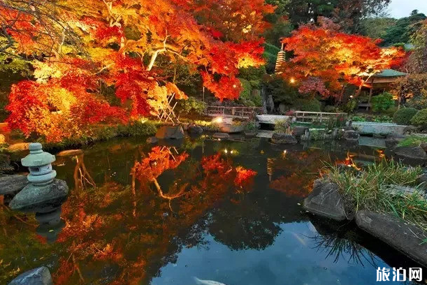 2018年日本賞楓指南 日本哪里可以看見楓葉