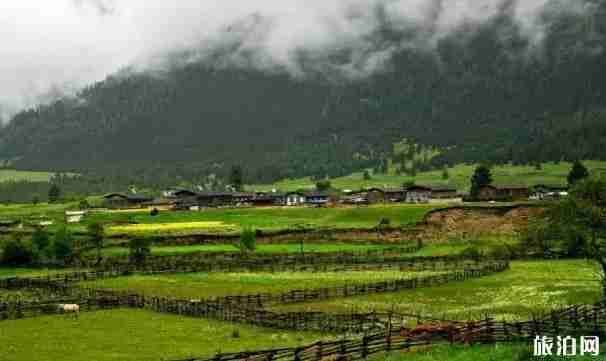 318国道村庄限速30吗 318国道村庄推荐