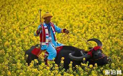 云南适合情侣去的地方有哪些