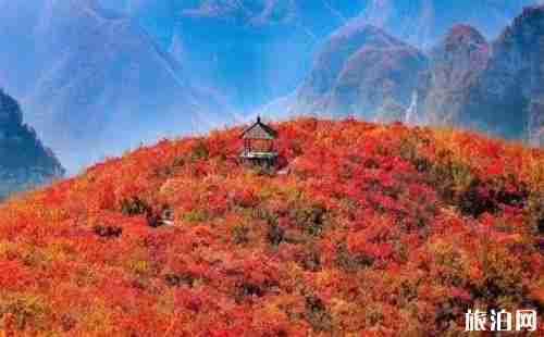 河南美丽的小山村推荐