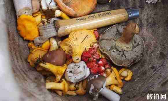 北京9月采摘什么水果 北京采摘园哪里好