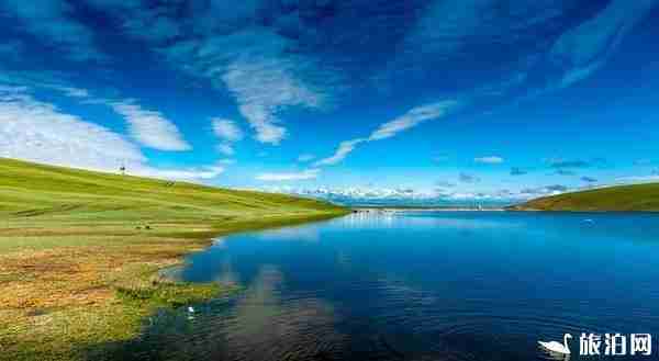 新疆旅游哪些地方需要辦邊防證