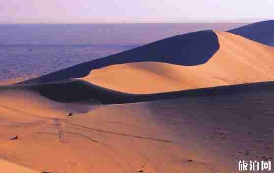 敦煌文博会期间1路公交车路线+运营时间最新消息