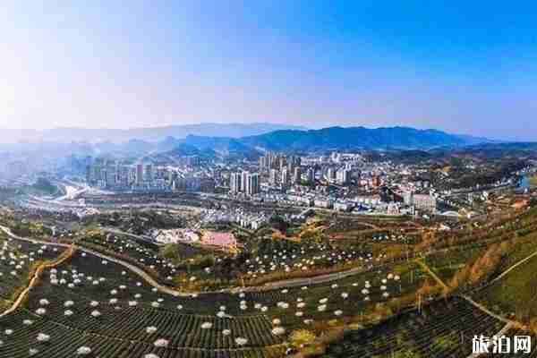 仁懷茅臺機場有哪些航班