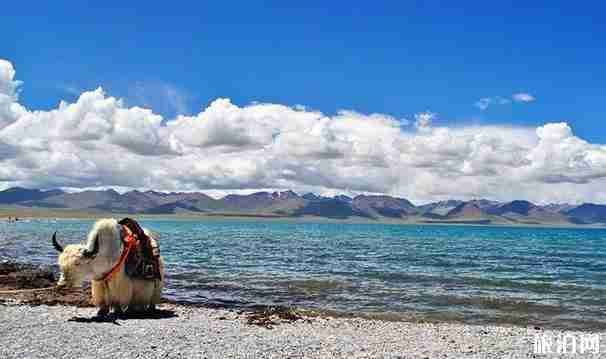 60岁的人能坐火车去西藏吗 要注意什么