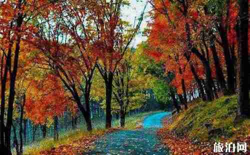 五花山在哪 五花山是什么意思 五花山景点介绍