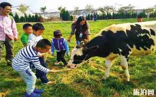 西安秦灞庄园怎么坐车过去 门票+交通指南