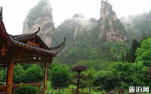 张家界市到武陵源景区怎么去 武陵源城区与景区交通