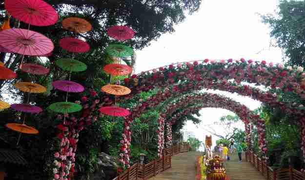 深圳适合老人游玩的地方有哪些