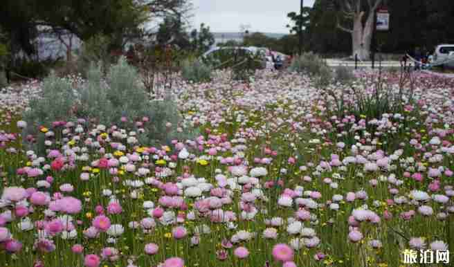 珀斯機場怎么去 珀斯市區交通攻略