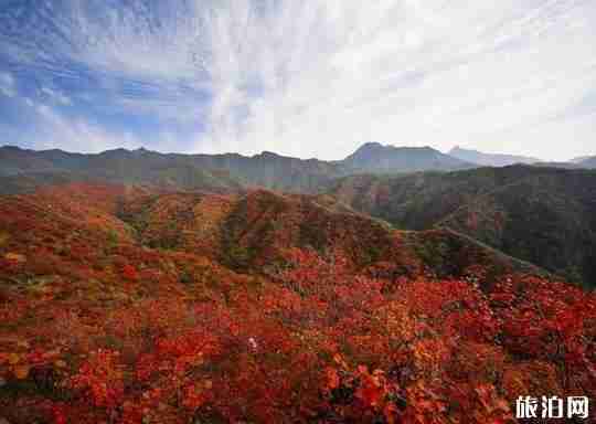 王屋山风景区好玩吗，王屋山红叶什么时间好