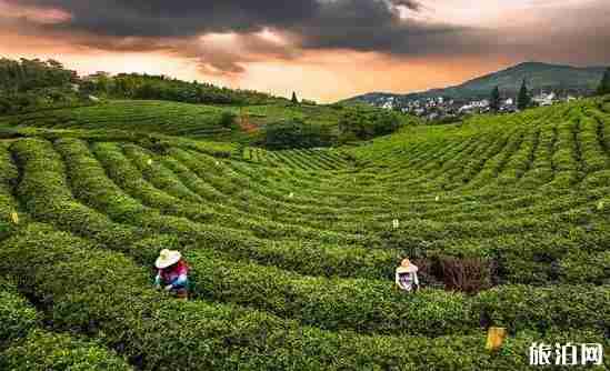 南京最美17公里在哪里 南京最美17公里风景介绍