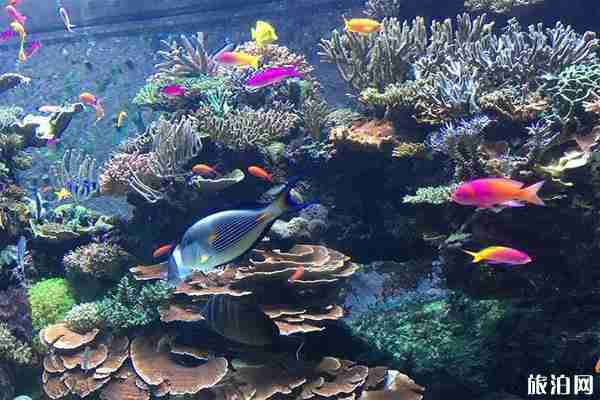 貴州極地海洋世界怎么去