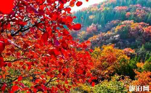 香山停车怎么收费 香山停车短信通知怎么操作