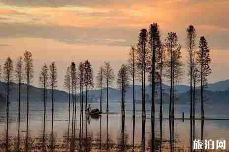 宁波去四明山怎么去 四明山旅游景点有哪些