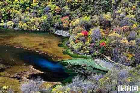 成都到松坪溝怎么走+多少公里 松坪溝門票+有哪些景點