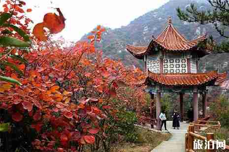 2018嵩縣臥龍谷紅葉紅了嗎 嵩縣臥龍谷要門票嗎