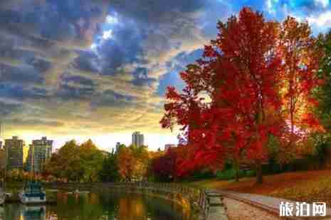 溫哥華交通攻略