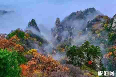 木札嶺在哪里 木札嶺好玩嗎