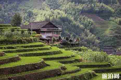 龍脊梯田可以開車上去嗎 龍脊梯田纜車多少錢