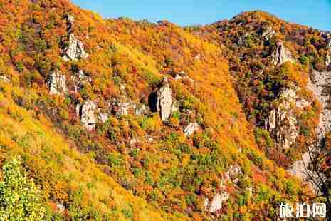 北京哪里看楓葉最好 北京看紅葉去哪里最好