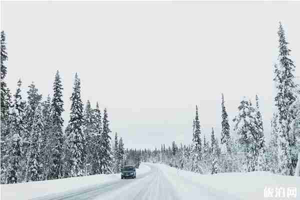 中國駕照在芬蘭能用嗎+注意事項