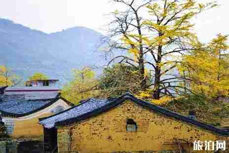 華山下雪了嗎 華山雪景冬天攻略
