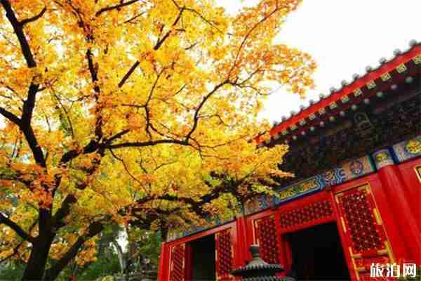 香山公園分時段入園+預約入園+預約時間