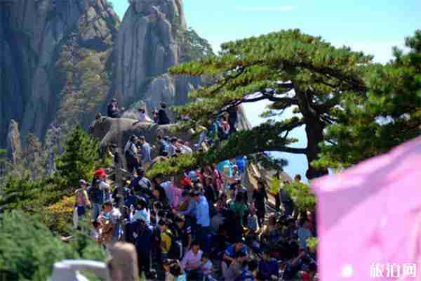 黃山換乘車價格+換乘車運行時間