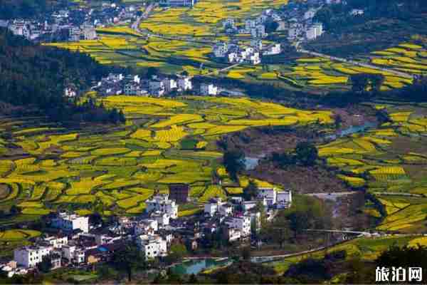 去婺源坐飛機到哪 南昌到婺源怎么去