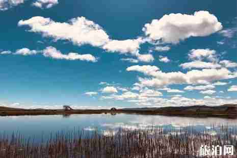 紅原景點(diǎn)門票價(jià)格+交通