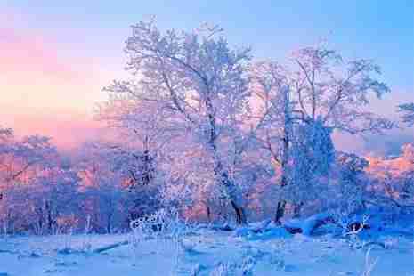 霧凇島地址+門票費(fèi)用+交通線路