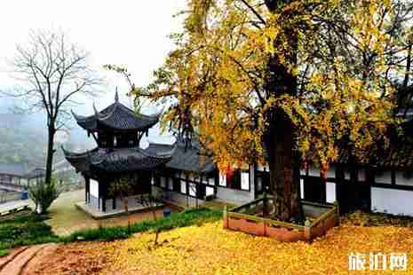 重慶天星寺鎮公交+地址+門票+交通