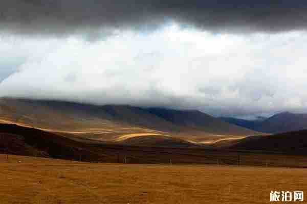 古爾邦節放假高速公路免費 2019西寧古爾邦節交通管制