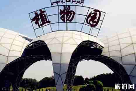 烏魯木齊植物園冰場交通+有什么好玩的