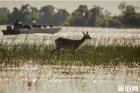 博茨瓦納旅游注意事項