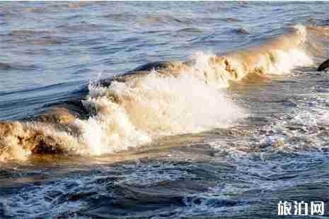 錢塘江大潮觀潮地點+時間